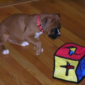 Our little baby playing