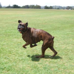 Running with a funny face