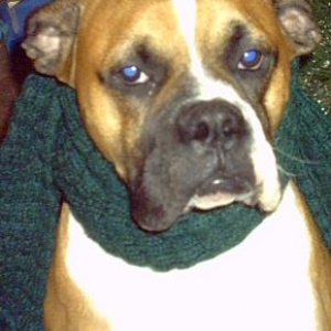 Sporting a lovely shade of green