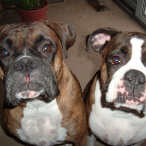 Merry Christmas Everyone!