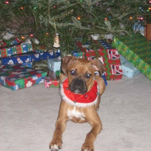 2005 Christmas Card Photo