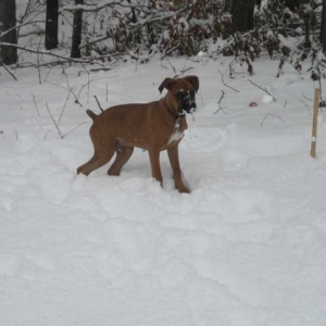 First Snow