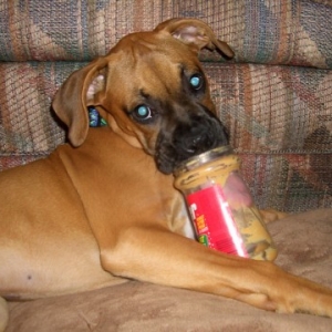 Peanut Butter Tongue