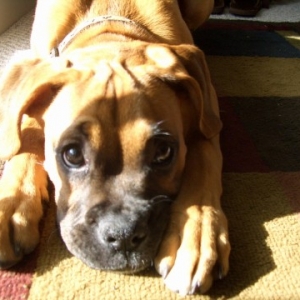 Sweet Face