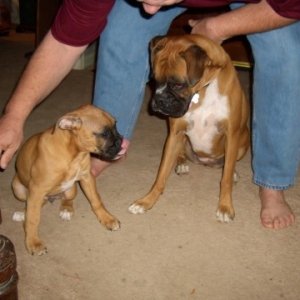 Lucy & Wrigley