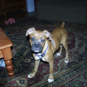 Sampson5months