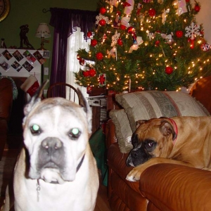 King & Hummers Xmas card 2005