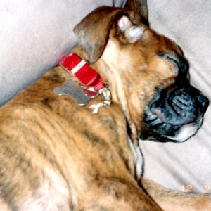 Wearing pink ribbon in honor of my sister