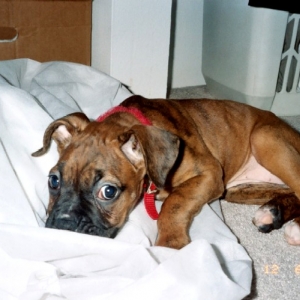 Looking Guilty!!!!