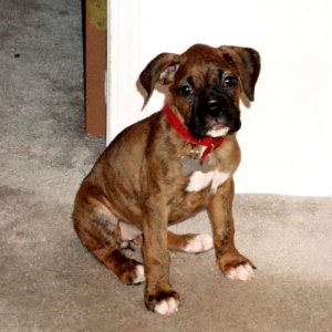 I'm so cute!