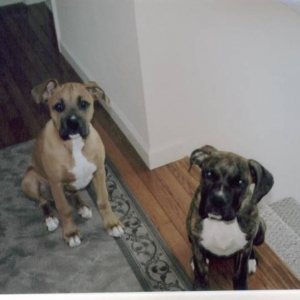 Sydney and her sister Sasha