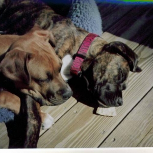 The sisters sleeping