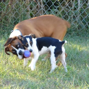 Kahne and Cowboy