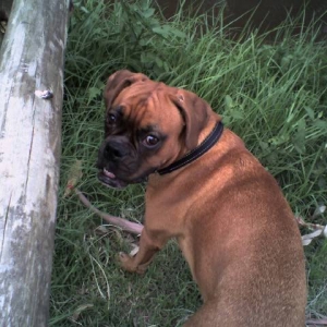 charlie01
