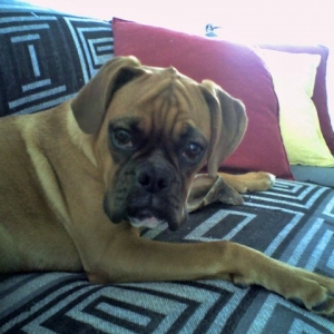 Charlie 7months