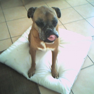 maxi 11years