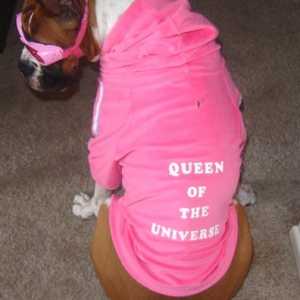 Queen for the Day