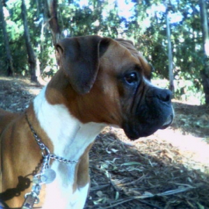 Sammie