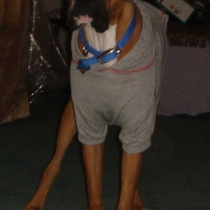 New hoodie