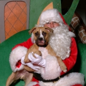 Bosco with Santa