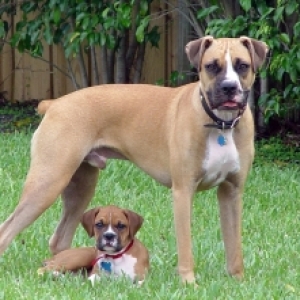 Bosco & Molly