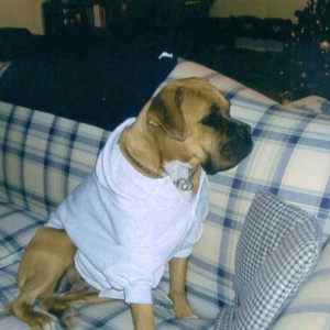 Gracie in her new hoodie