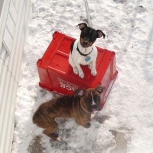 Recycling