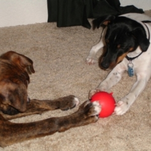 Playing with cuz