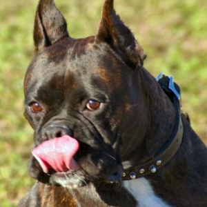 Booker Pbbbbbbttttttttt!