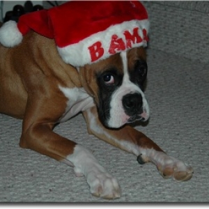 "Mom, can I take this hat off now?"