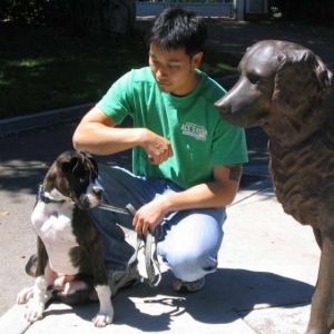 Cassius meets the large dog statue - 5 months