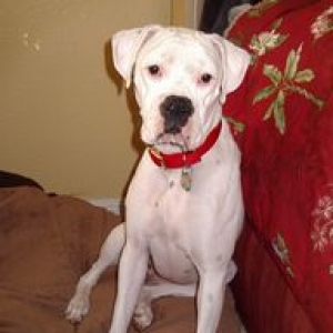 Blanca Sweet Girl