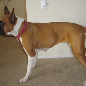 sideview