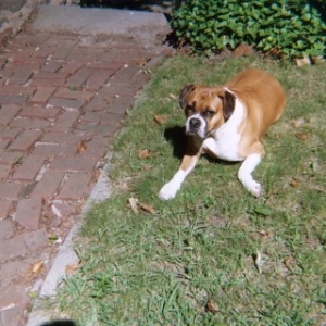 Hailey