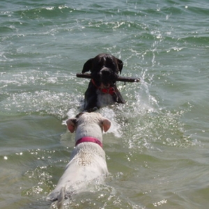 AT THE BEACH