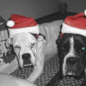 XMAS MORNING 2005