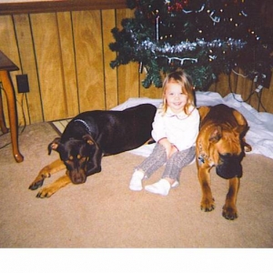 Roxie, Renee, and Duke xmas pic