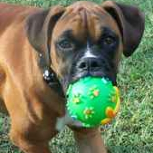 Play ball
