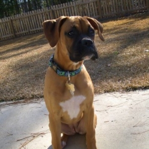 Lucy 4 mos