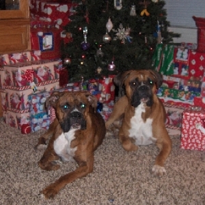 Christmas Eve
