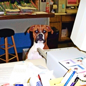 Working Hard