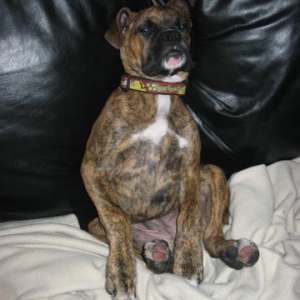 watching tv