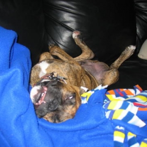 knocked out