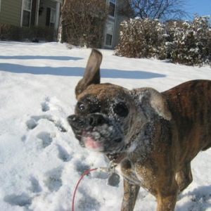 First snow