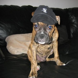 Go Sox!