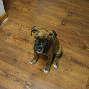 waiting for a treat....