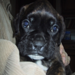 He will most likely never be as cute again