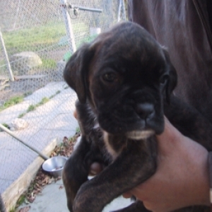 First time I hold him