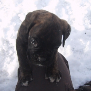 Theo at 5 weeks