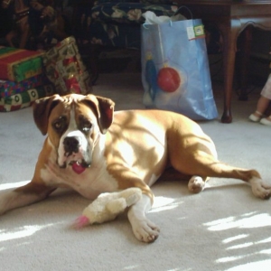 Ali_on_Christmas_morn_2